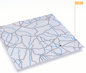 3d view of Nkim