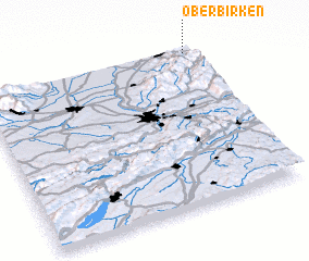 3d view of Oberbirken