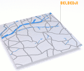 3d view of Belbédji