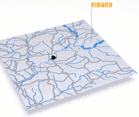 3d view of Ribako