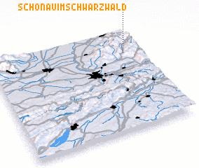 3d view of Schönau im Schwarzwald