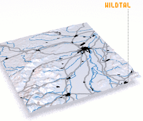 3d view of Wildtal