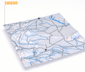 3d view of Saidon