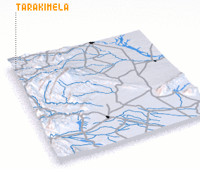 3d view of Taraki Mela