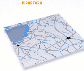 3d view of Pipartora