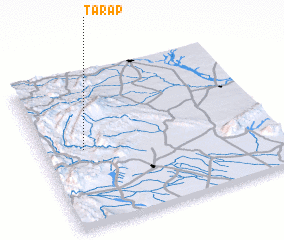 3d view of Tarap