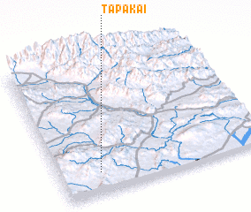 3d view of Tapākai