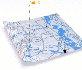 3d view of Nalig