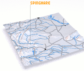 3d view of Spinghare