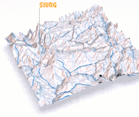 3d view of Siung
