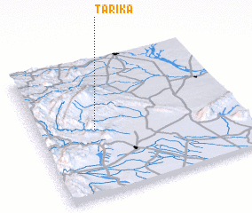 3d view of Tarika