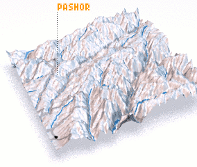 3d view of Pashor