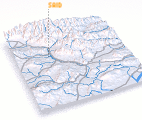 3d view of Said