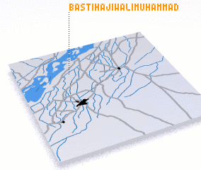 3d view of Basti Hāji Wali Muhammad