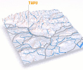 3d view of Tāpu