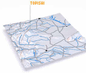 3d view of Topisai