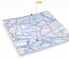 3d view of Puk
