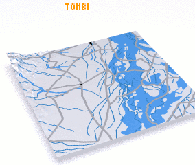 3d view of Tombi