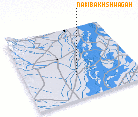 3d view of Nabi Bakhsh Wāgāh