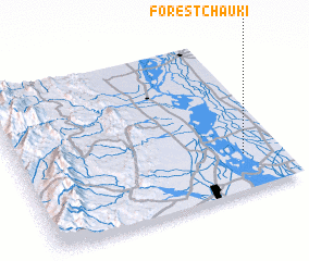 3d view of Forest Chauki