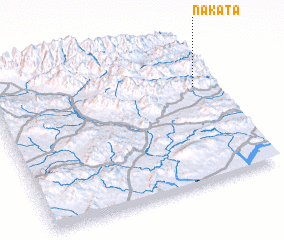 3d view of Nakata