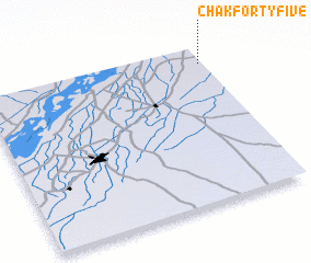 3d view of Chak Forty-five