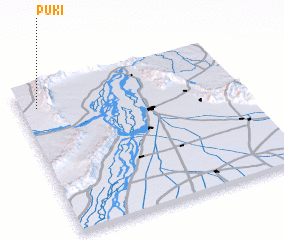 3d view of Puki