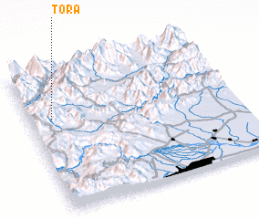 3d view of Tora