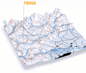 3d view of Tanga