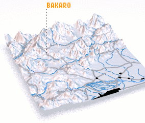 3d view of Bakaro