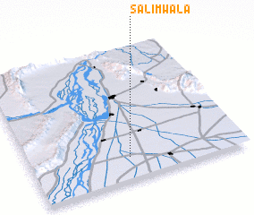 3d view of Salimwāla