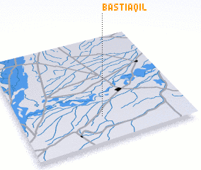 3d view of Basti Āqil