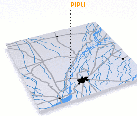3d view of Pipli