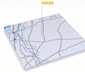 3d view of Pakka