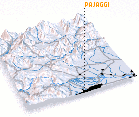 3d view of Pajaggi