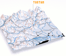 3d view of Tortam