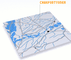 3d view of Chak Forty-one M