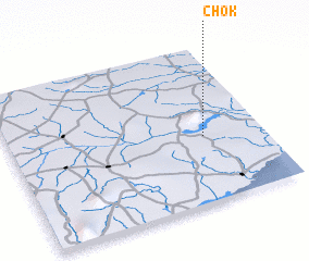 3d view of Chok