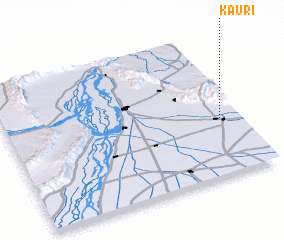 3d view of Kauri