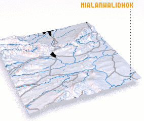 3d view of Miālānwāli Dhok