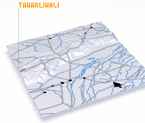 3d view of Tawakliwāli