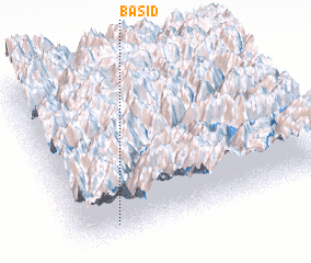 3d view of Basid