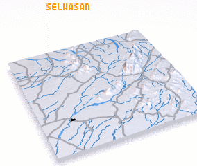 3d view of Selwāsan