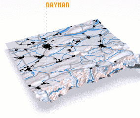 3d view of Nayman