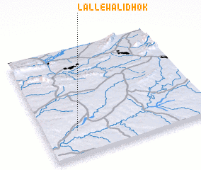 3d view of Lallewāli Dhok