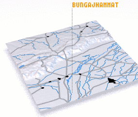 3d view of Bunga Jhammat