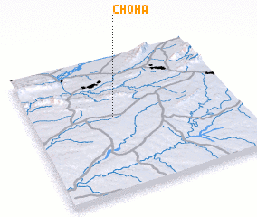 3d view of Choha