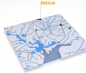 3d view of Bareja