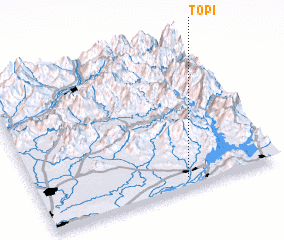3d view of Topi