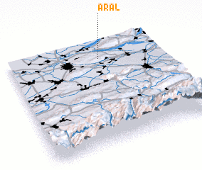 3d view of Aral